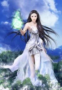 頂級豪婿